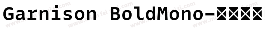 Garnison BoldMono字体转换